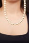 Heliophilia Silver Collar de Metal Dorado
